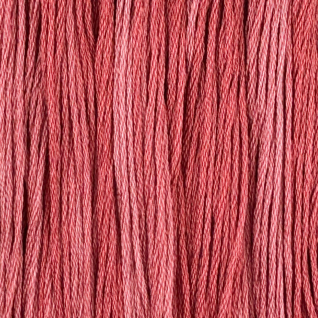 Pomelo (Limited Edition)