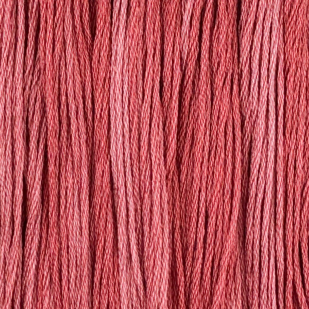 Pomelo (Limited Edition)