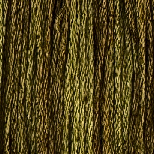 Prairie Bold