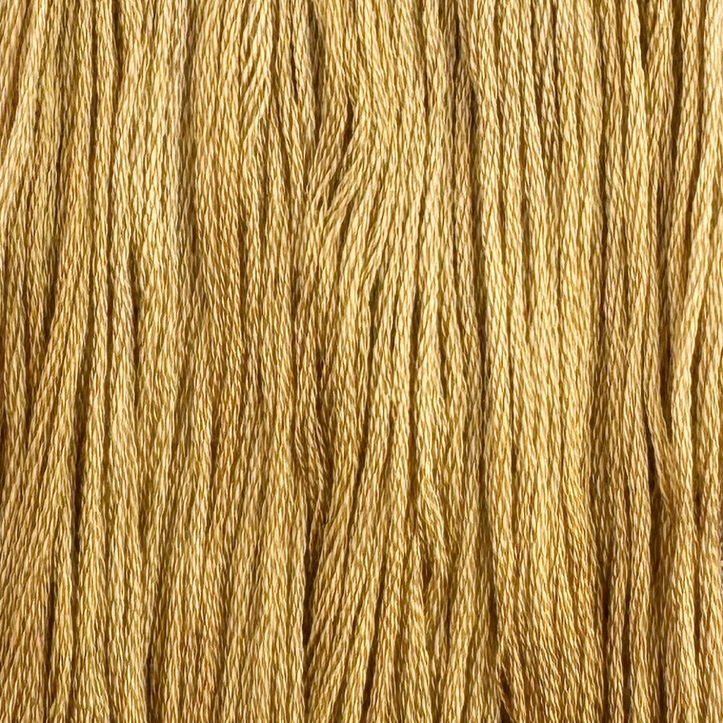 Prairie Dog (Limited Edition)