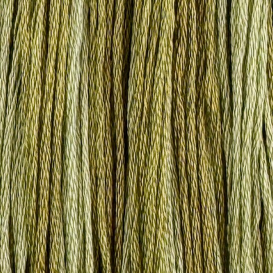 Prairie Medium