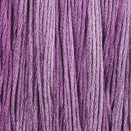 Purple Acai