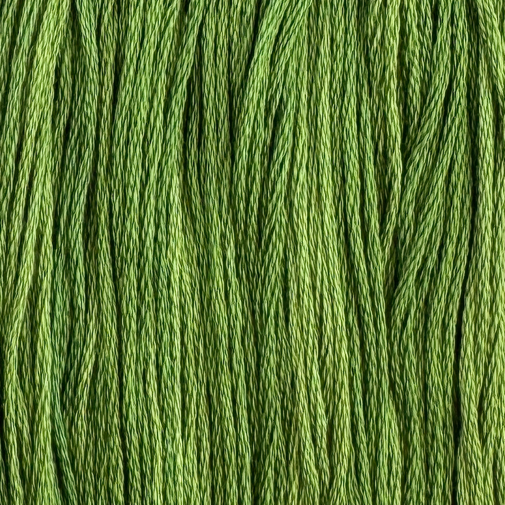 Python (Limited Edition)