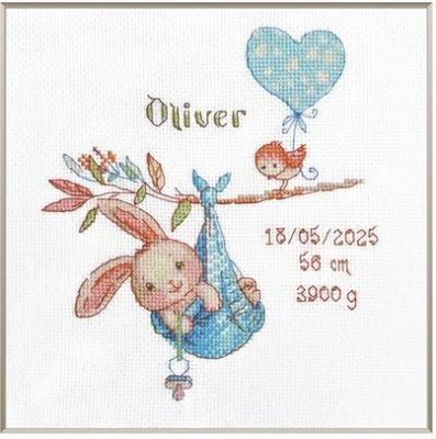 Boy Birth Sampler Kit