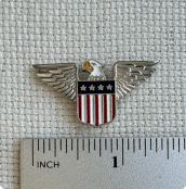 USA Eagle Enamel Needle Minder