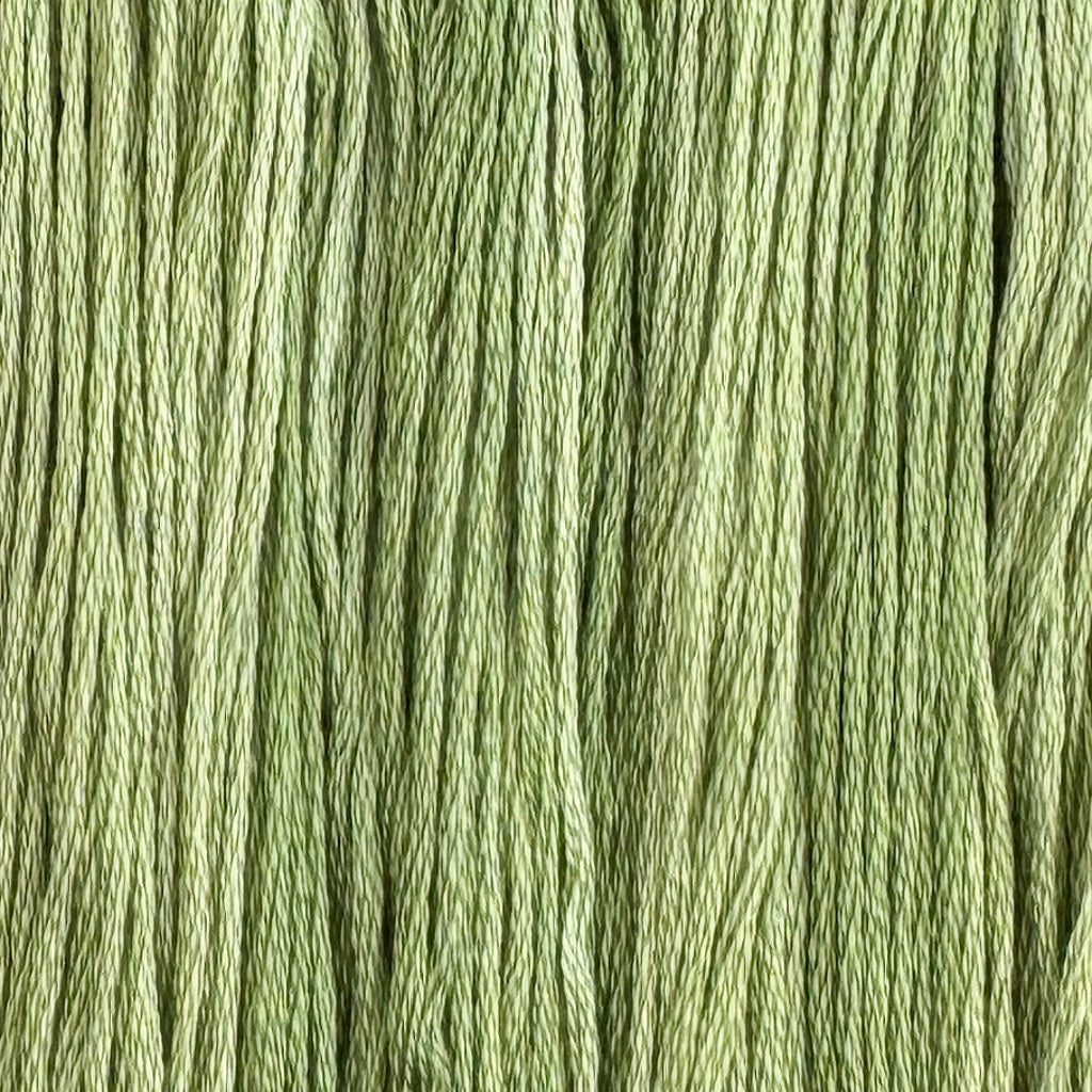 Sencha (Limited Edition)