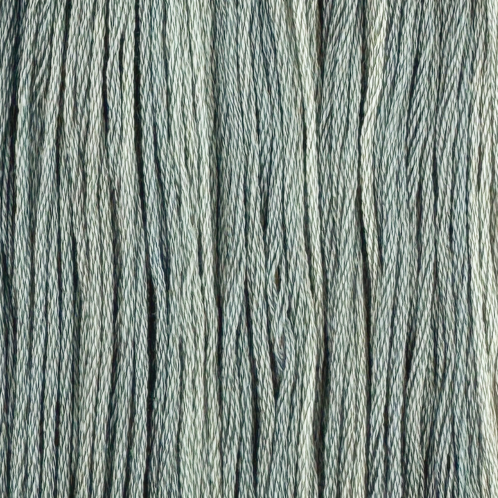 Shoreline (Limited Edition)