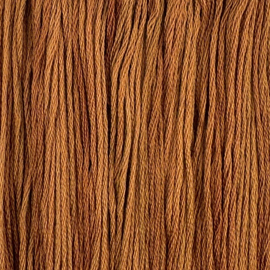 Sugar Maple