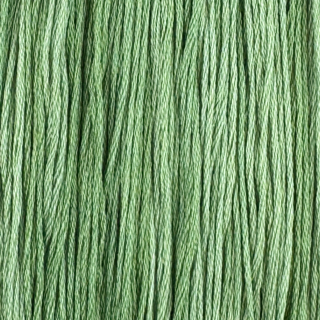 Tortuga (Limited Edition)