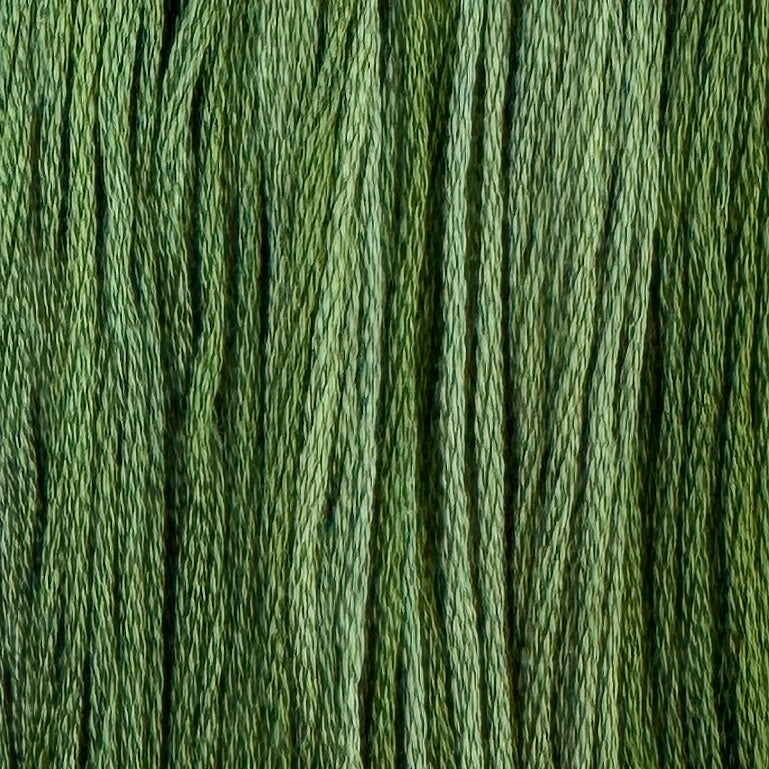 Twisted Ivy (Limited Edition)