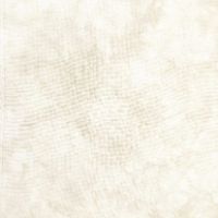 Picture This Plus Fabric Vellum