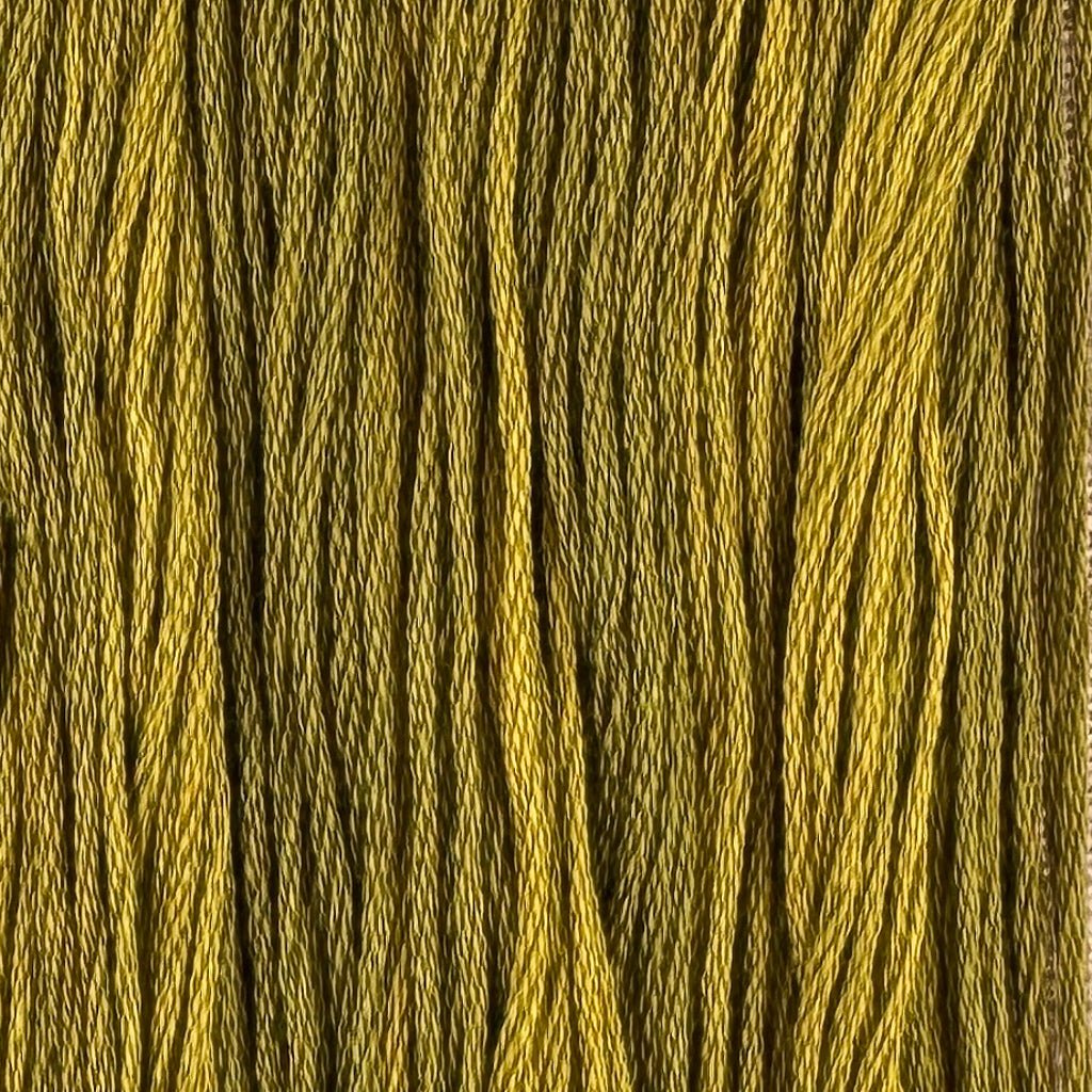 Warbler (Limited Edition)
