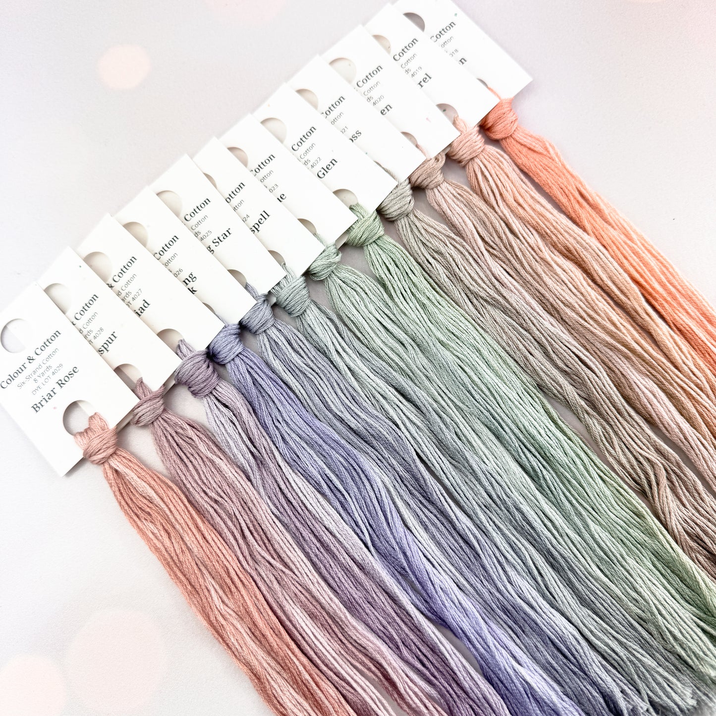 Gradient Thread Set Woodland Fairies