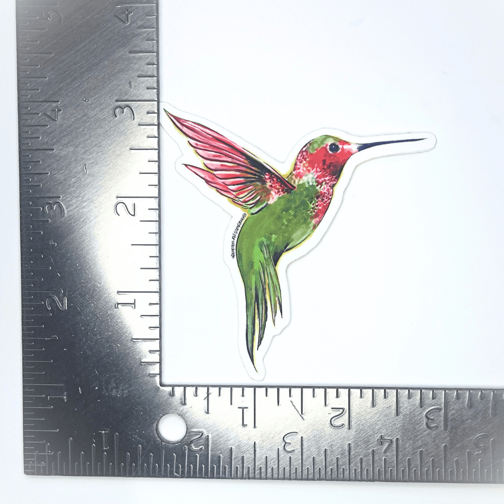 Hummingbird Sticker