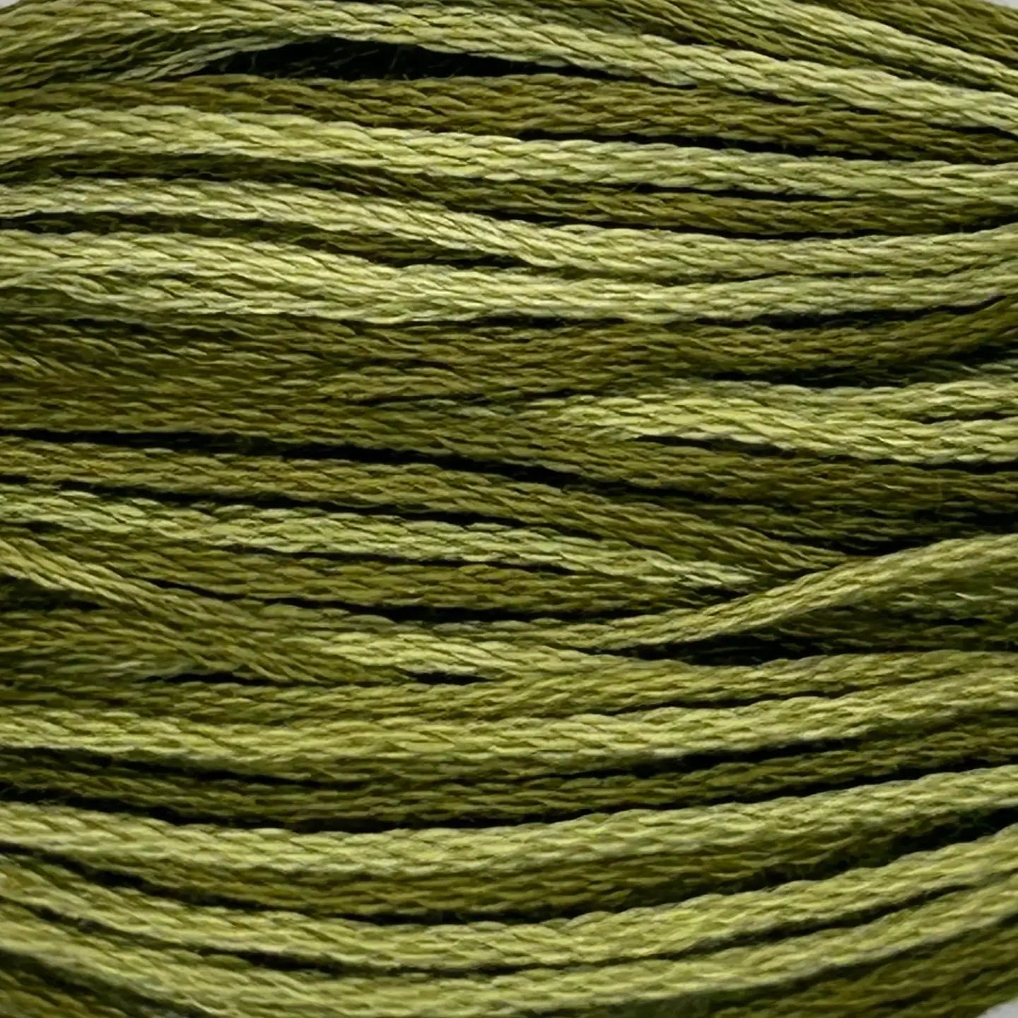 GR49 Olive Green