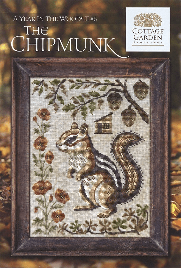 Year in the Woods II 6 Chipmunk Pattern