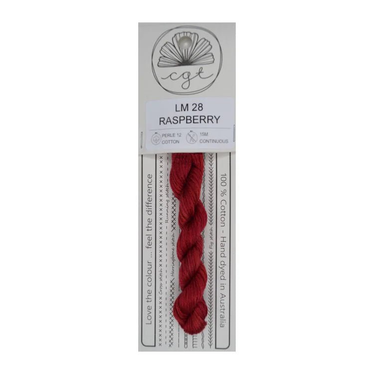 LM28 Raspberry