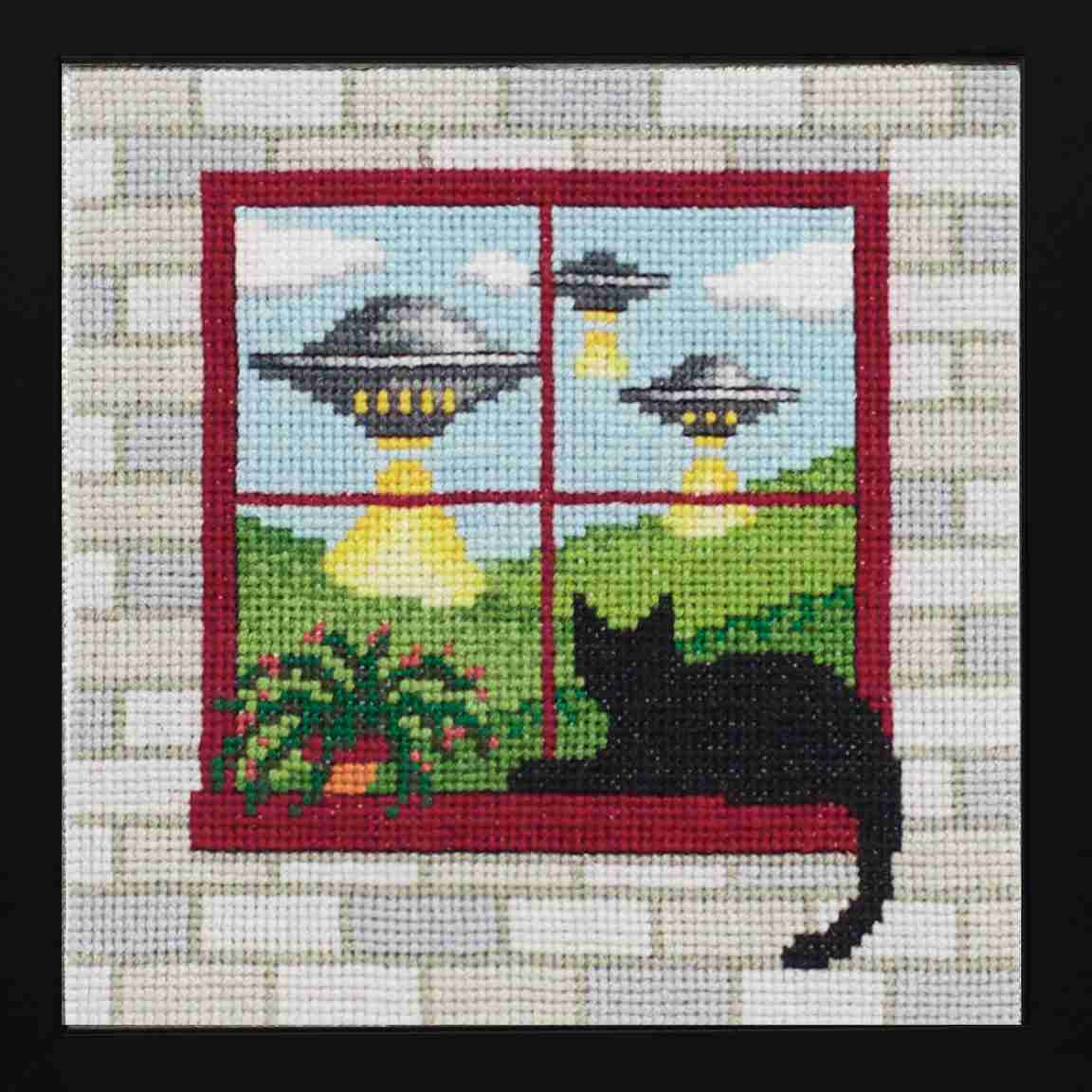 What the Cat Saw: Close Encounters