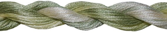 Cabbage 1082