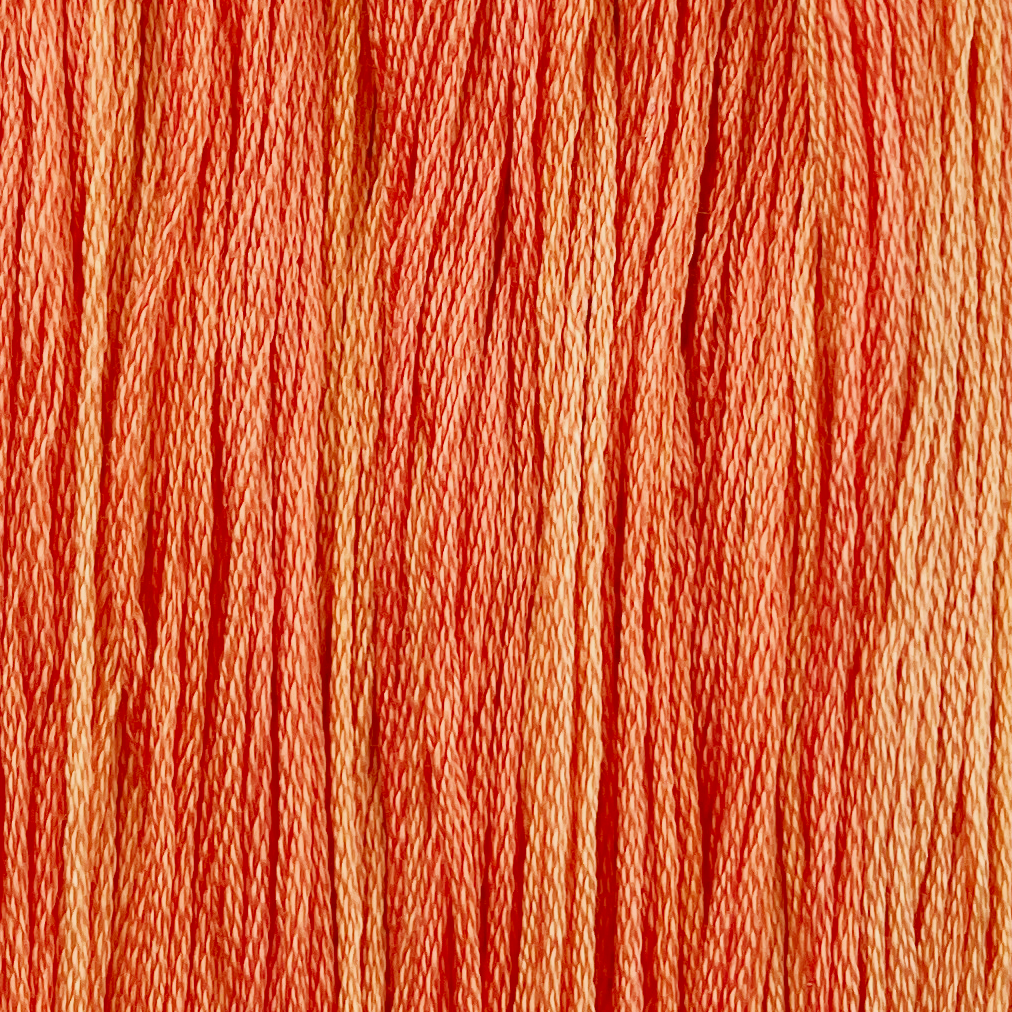 Apricot