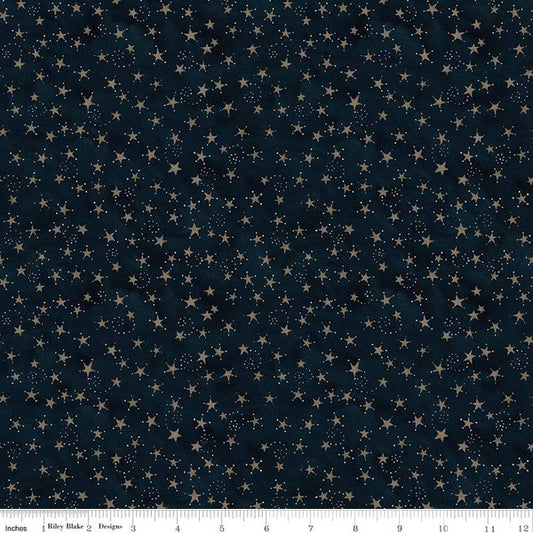 CLEARANCE PER YARD Bright Stars Stars Navy by Teresa Kogut #C13106 Navy