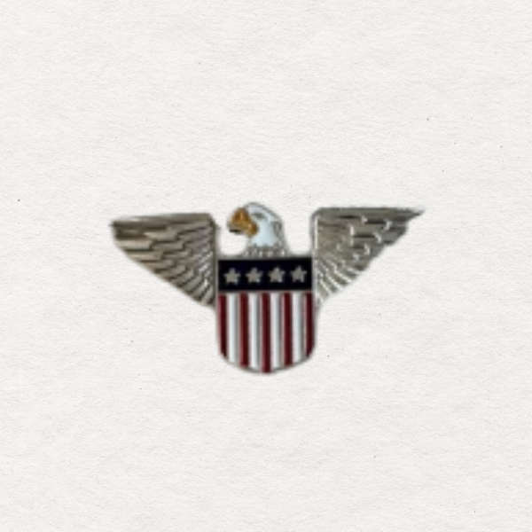 USA Eagle Enamel Needle Minder
