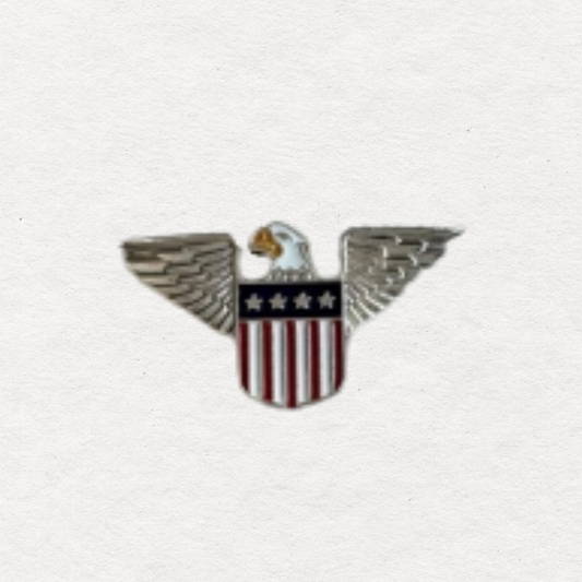 USA Eagle Enamel Needle Minder