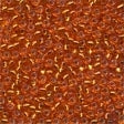 Glass Seed Beads 02034 Autumn Flame
