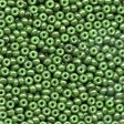 Glass Seed Beads 02053 Opaque Celadon