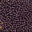 Glass Seed Beads 02080 Dark Plum