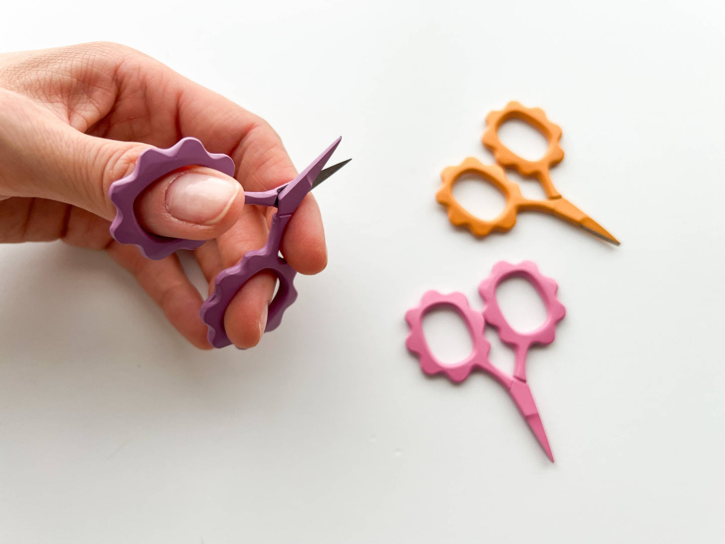 Small Flower Scissors Lake Ocean