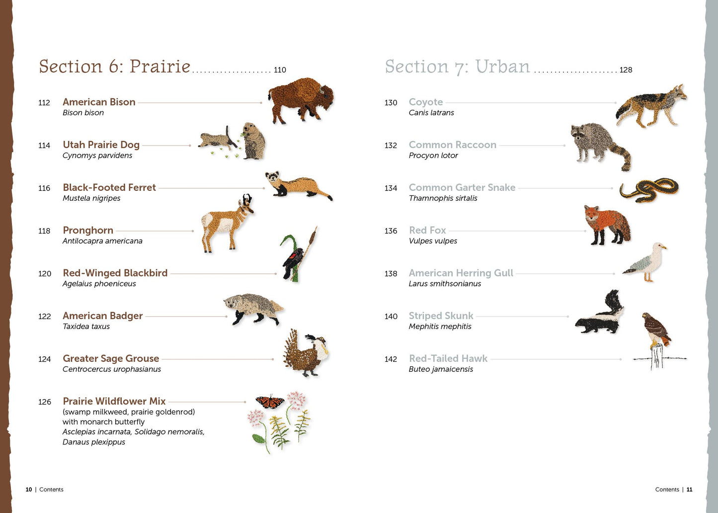 The Field Guide to Embroidery