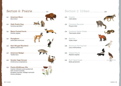 The Field Guide to Embroidery