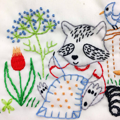 Stitching Raccoon Sampler Embroidery Kit