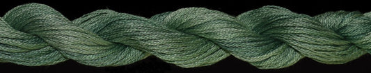 Wintergreen 10602