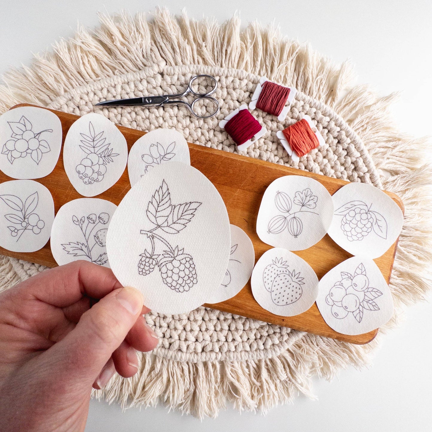 Stick and Stitch Berry Embroidery Pattern