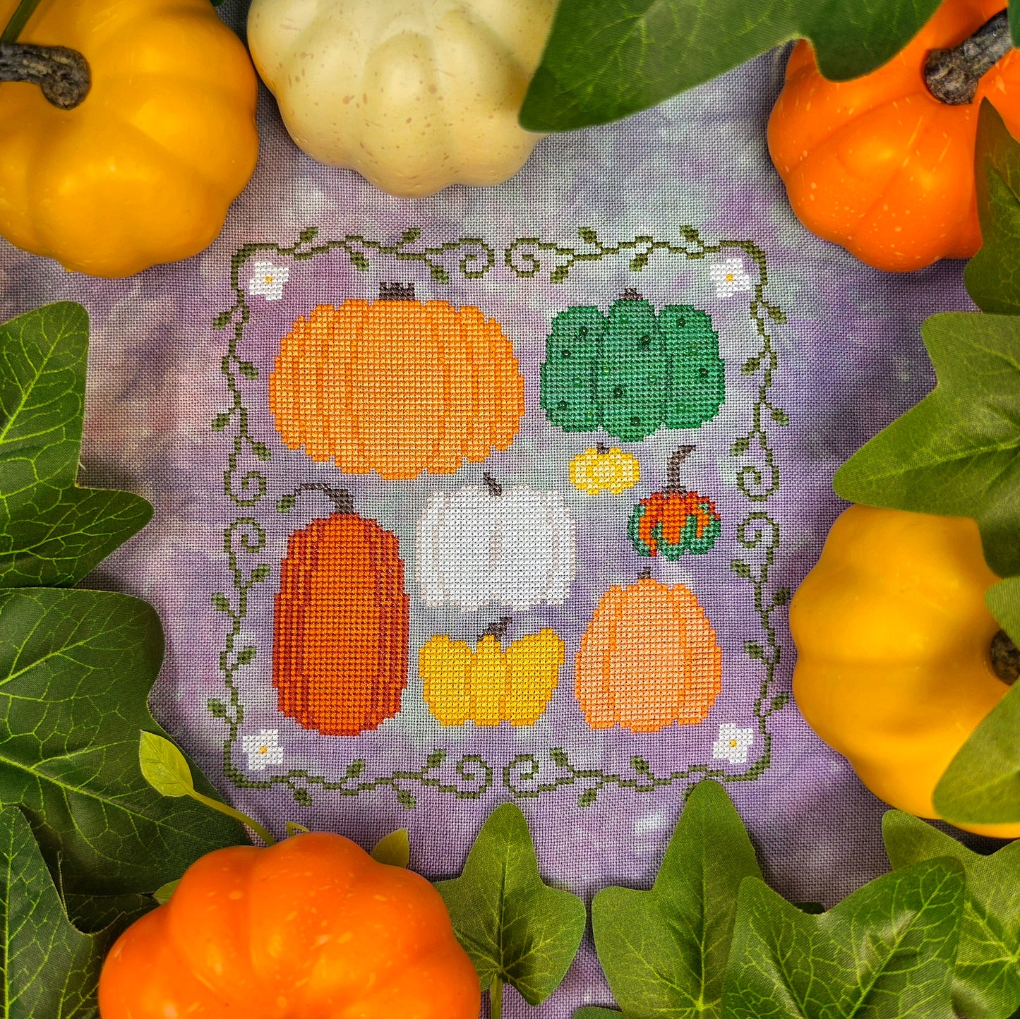 Family Pumpkins Pattern