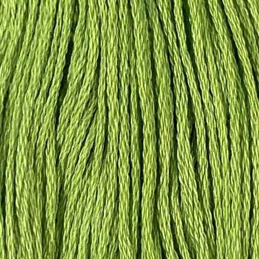 19 Deep Lime