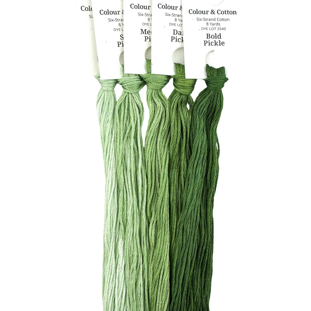 Gradient Thread Set Pickle – Colour and Cotton