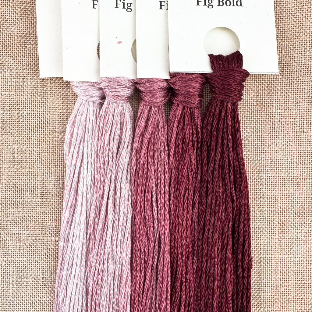 Gradient Thread Set Fig