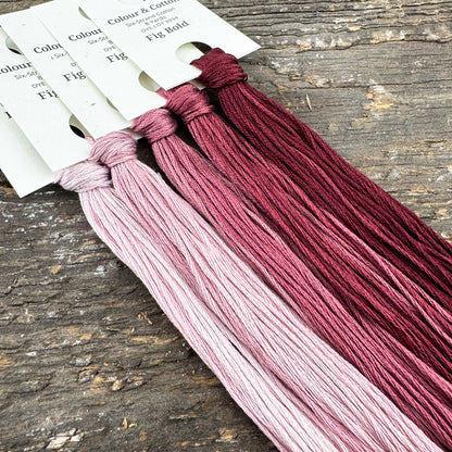 Gradient Thread Set Fig