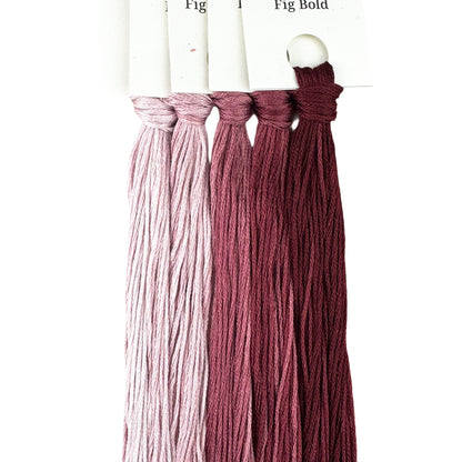 Gradient Thread Set Fig