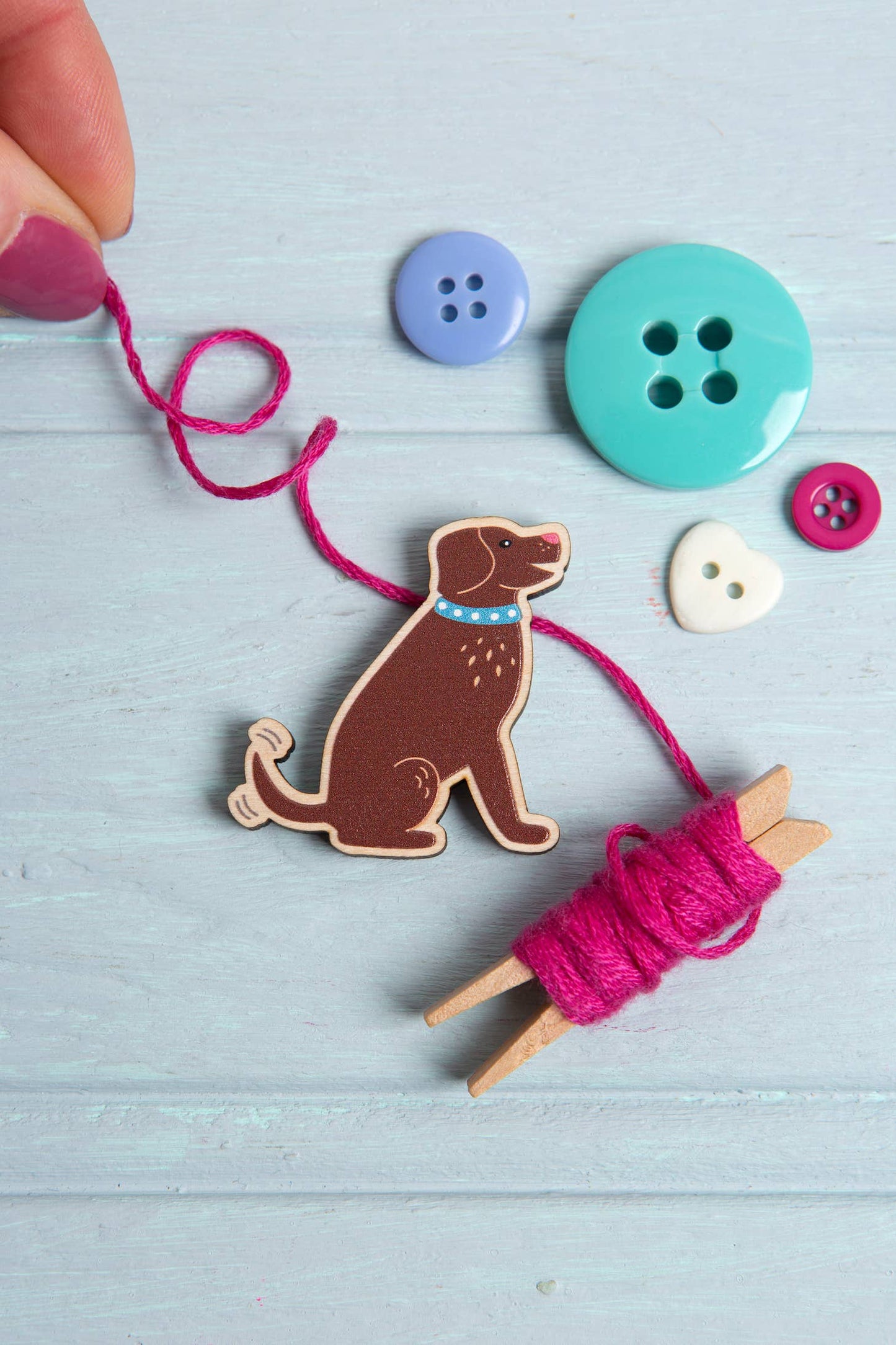 Dog Needle Minder