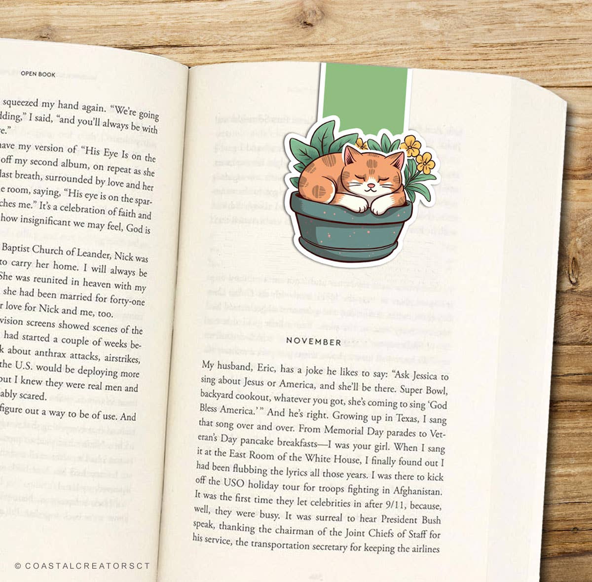 Sleeping Cat Plant Reversible Magnetic Bookmark (Packaged)
