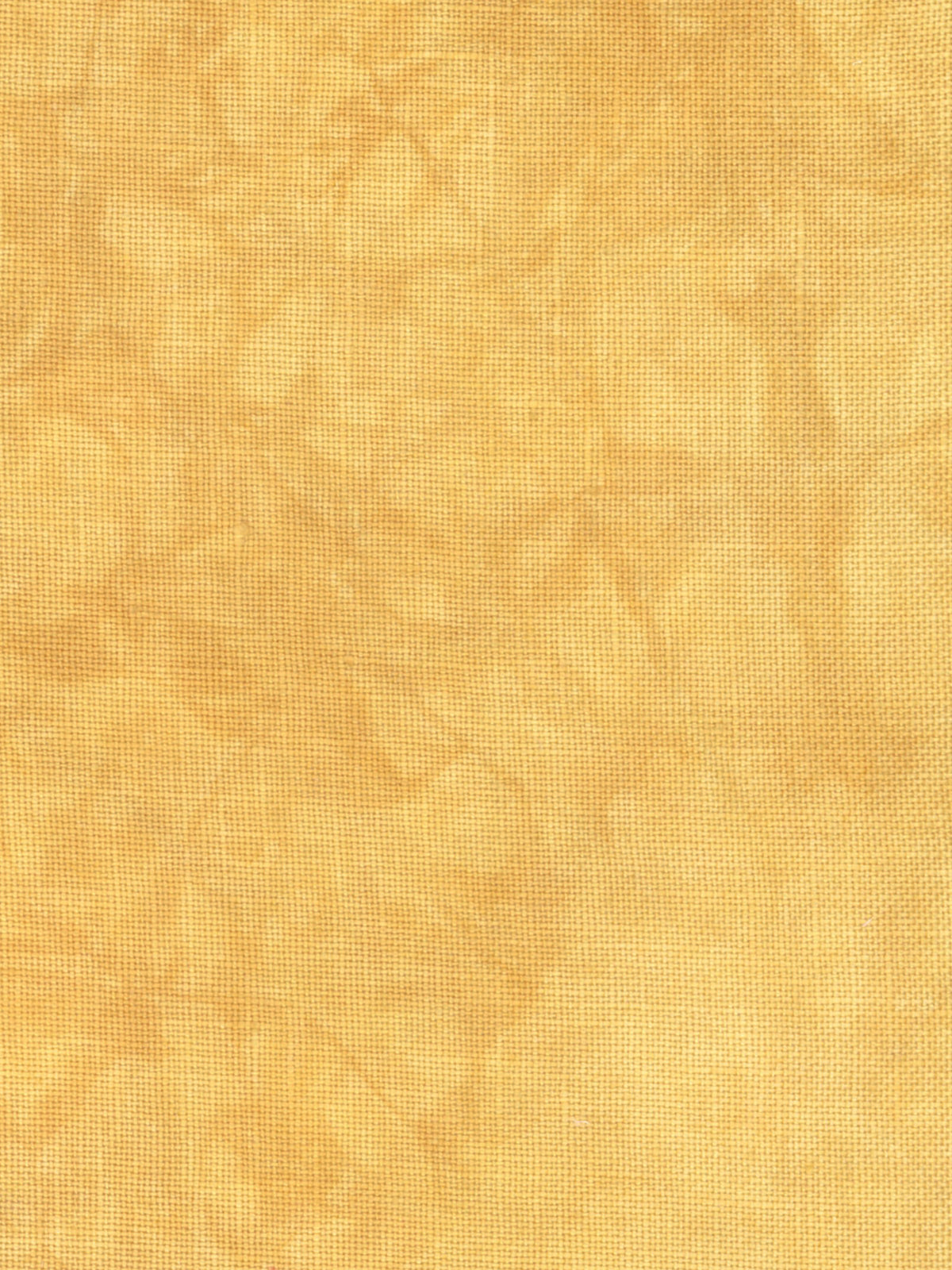 4020 Mustard Seed