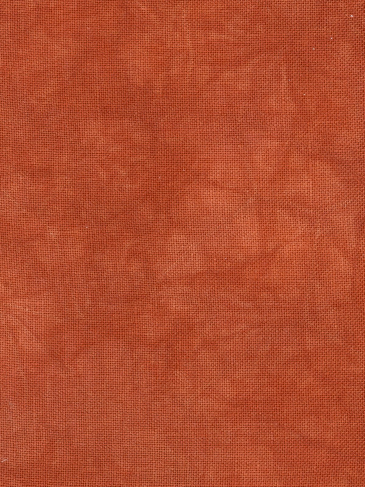 4180 Persimmon