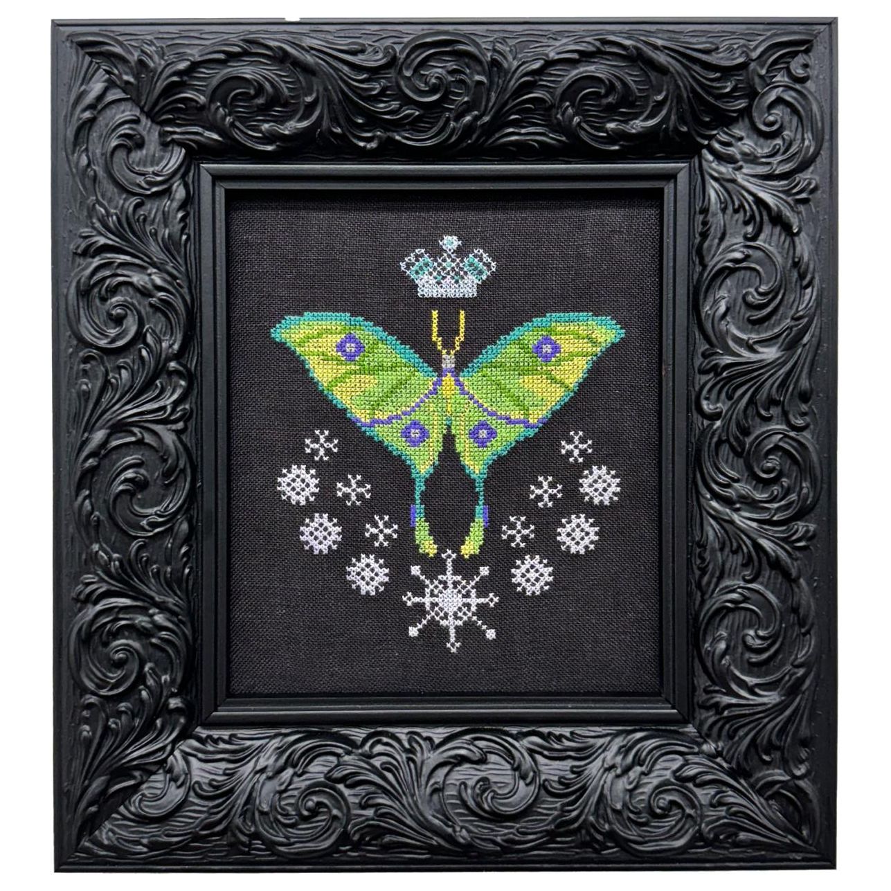 Queen of the Night Pattern