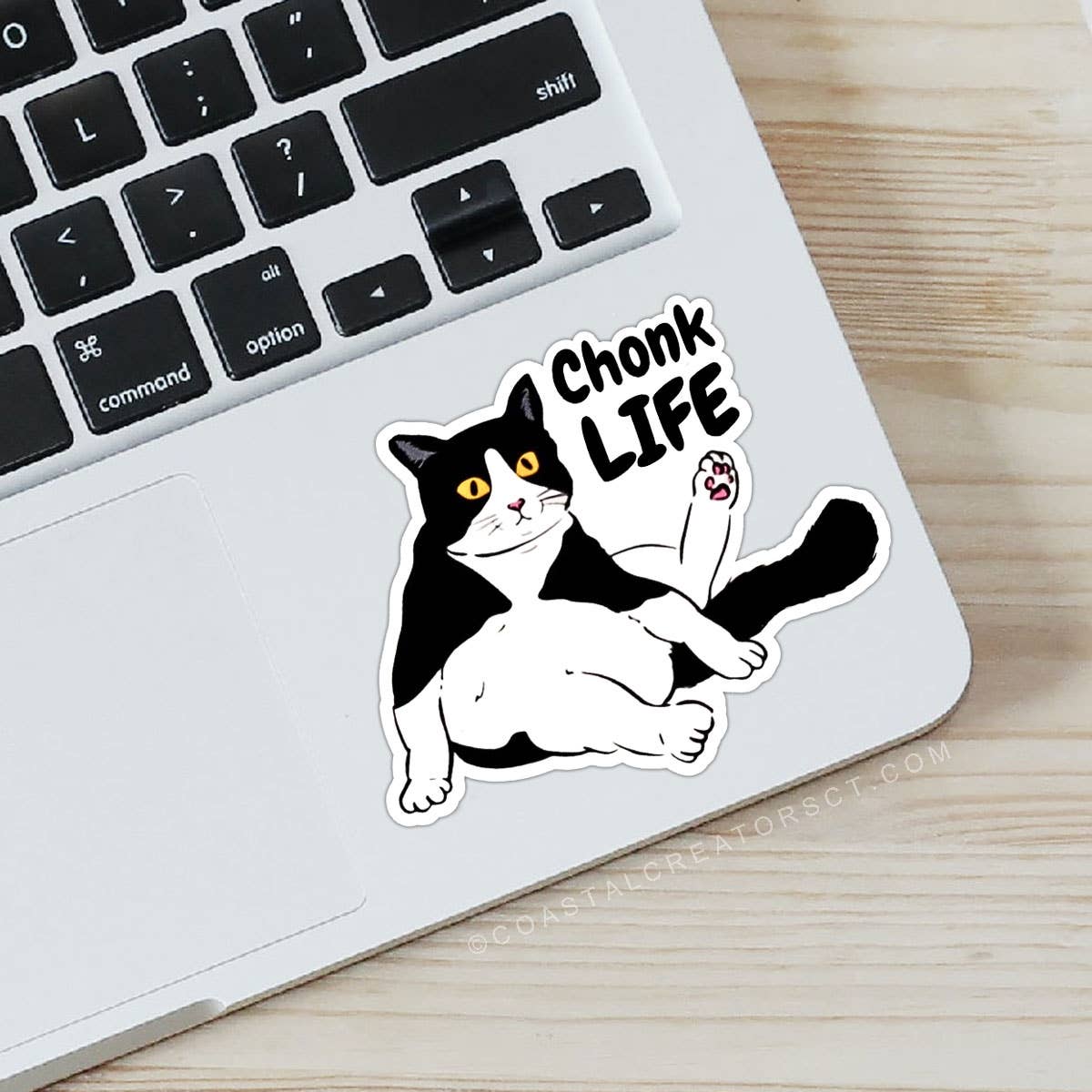 Chonk Life Fat Black Cat Laptop Water Bottle Sticker