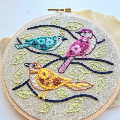 Colorful Birds Beginner Embroidery Kit