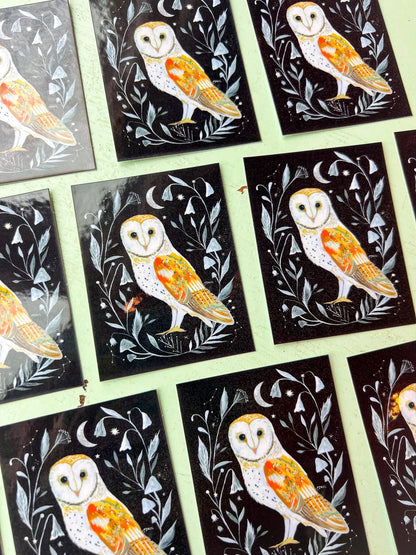 Barn Owl Glossy Sticker
